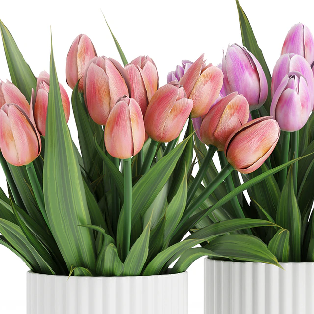 Flower Pack 250C Tulips — Descargar
