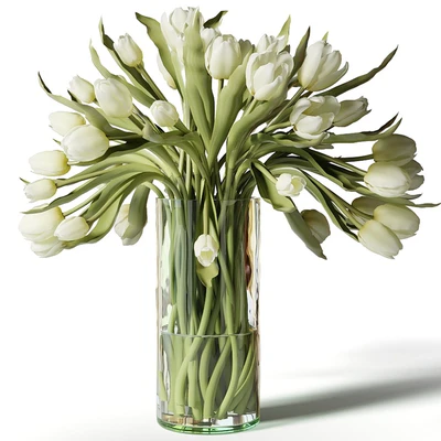 Red, pink and white tulips in glass vases — Ver 3
