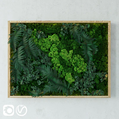 Fytowall — Ver 1