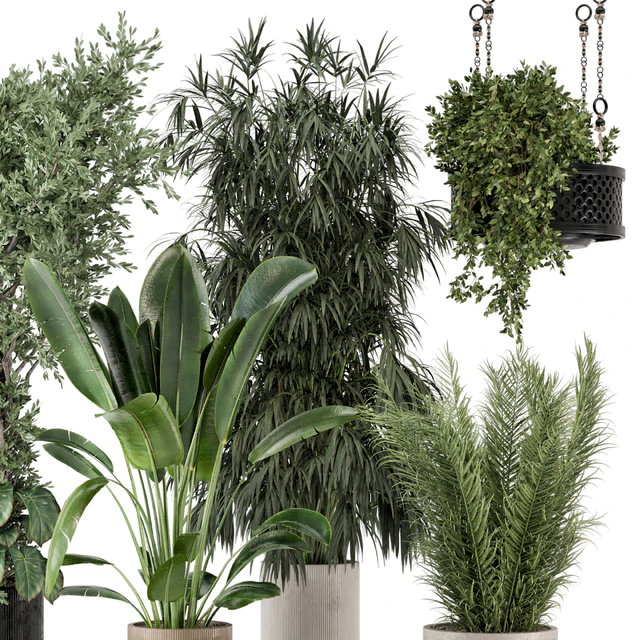 Indoor Plants in Ferm Living Bau Pot Large - Set 474 — Descargar