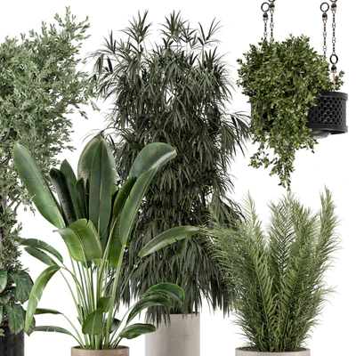 Indoor Plants in Ferm Living Bau Pot Large - Set 474 — Ver 3
