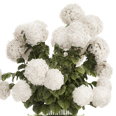 Large lush festive bouquet in a glass green vase with white hydrangea. Set 582. — Ver 2
