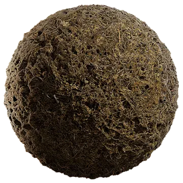 grass dried 026 — Descargar