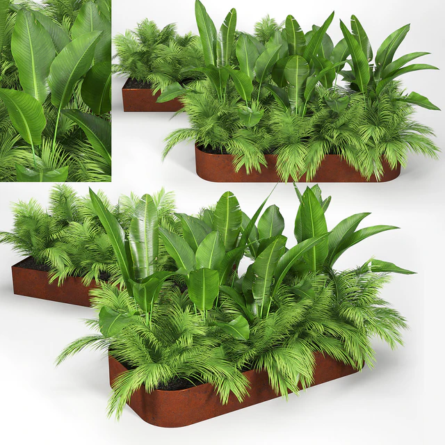 Flowerbed palm — Descargar