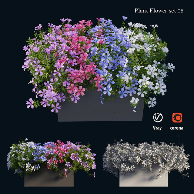 Plant Flower set 03 — Descargar