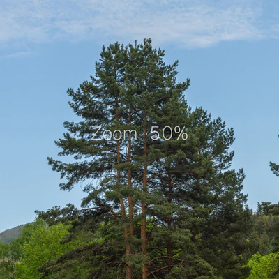 Панорама из парка. 30к — Вид 4