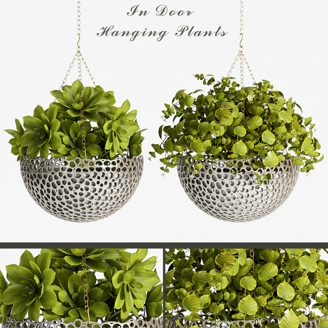 PLANT SET -62 — Descargar