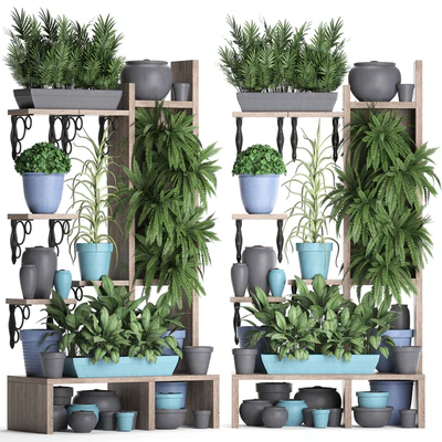 Plant Collection 367. Shelf with plants, fern, flowerpot, greenery, vertical garden, phytowall, phytomodule, pots, eco design — Ver 2