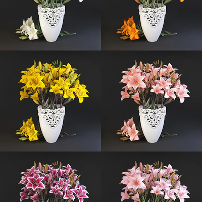 Lilium — Ver 3