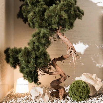 indoor Plant 252 — Вид 2