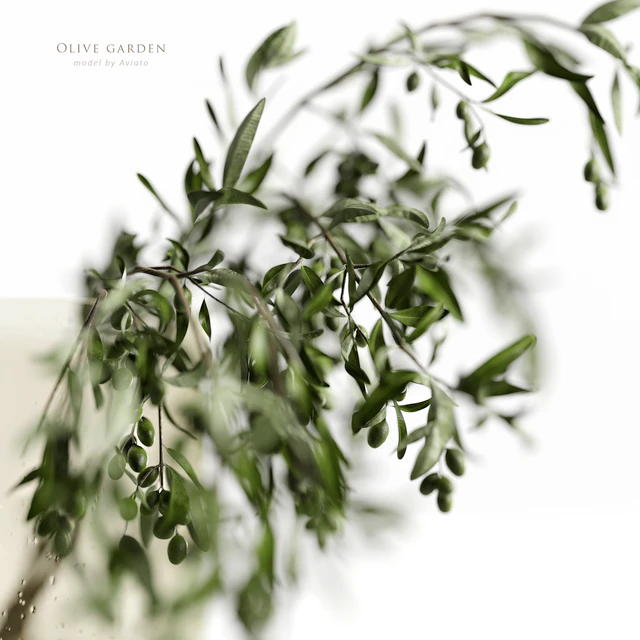 olive garden — Descargar