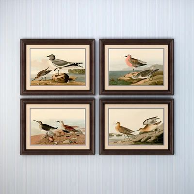 The picture in the frame. Collection 96 — Ver 2