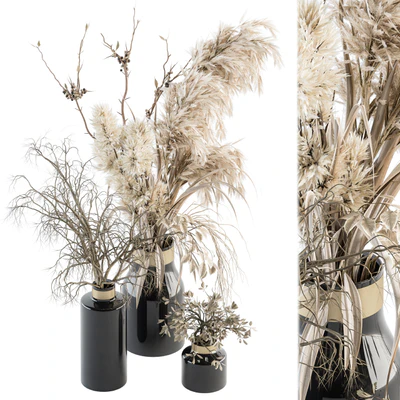 Dry plants 70 - Dried Pampas Set — Ver 1