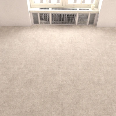 carpet covering 154 — Ver 2