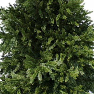 Prickly spruce 3m — Ver 3