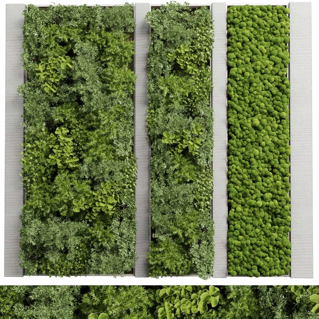 Concrete frame Vertical garden plant and moss garden wall decor box 66 — Descargar