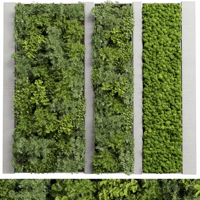 Concrete frame Vertical garden plant and moss garden wall decor box 66 — Ver 1