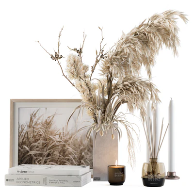 Decorative Set Dried Plants and Pampas - Set 46 — Ver 1