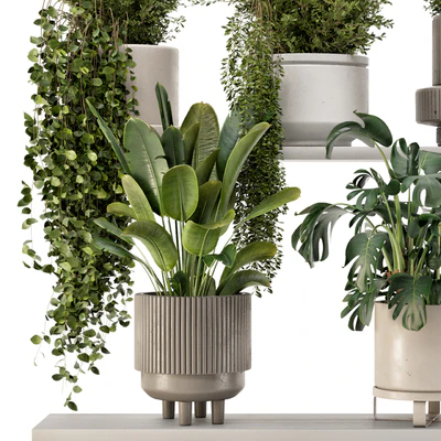 Indoor Hanging Plants in rusty Concrete Pot - Set 909 — Ver 4