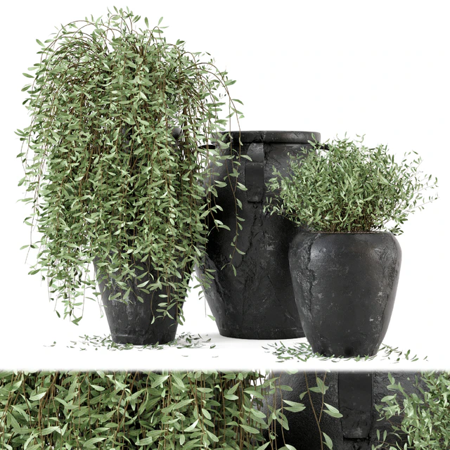 Outdoor Plants tree in rusty Concrete Pot - Set 2 — Descargar