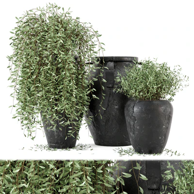 Outdoor Plants tree in rusty Concrete Pot - Set 2 — Ver 1
