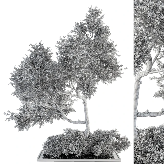 Garden set Tree and Bush - Garden Set 13 — Descargar