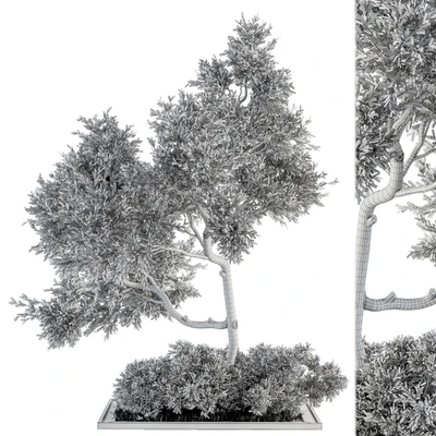 Garden set Tree and Bush - Garden Set 13 — Ver 3