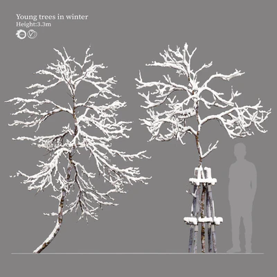 winter young trees — Ver 1