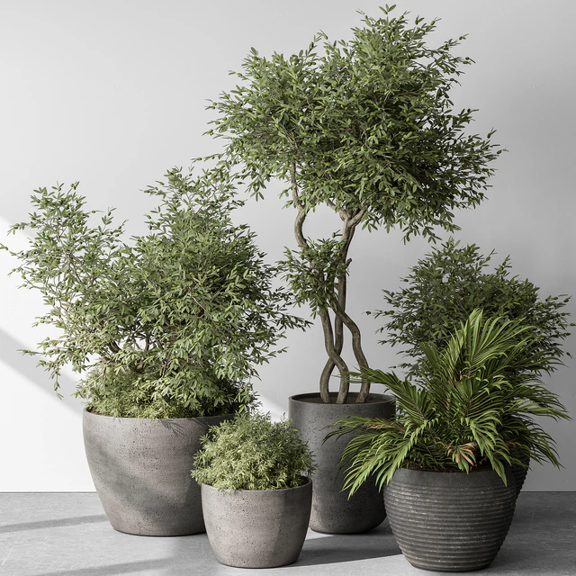 Outdoor Plant Set 393 - Plant Set in Concrete Pot — Download