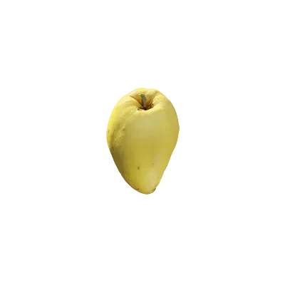 quince 001 — Descargar
