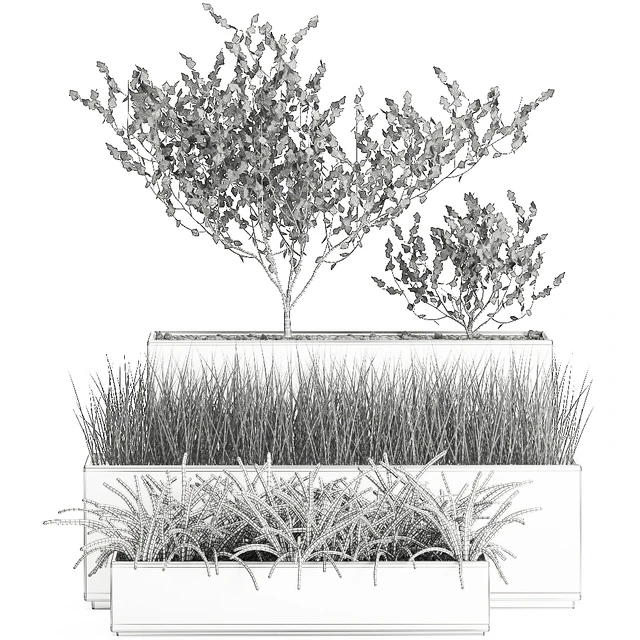 Collection of plants in outdoor white potted flower beds with tree, grass, Sansevieria. Set 585. — Descargar