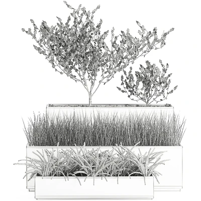 Collection of plants in outdoor white potted flower beds with tree, grass, Sansevieria. Set 585. — Ver 3