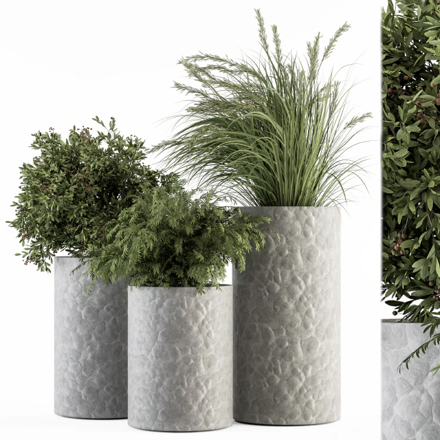 Outdoor Plant Set 292 - Plant Set in Concrete Pot — Descargar