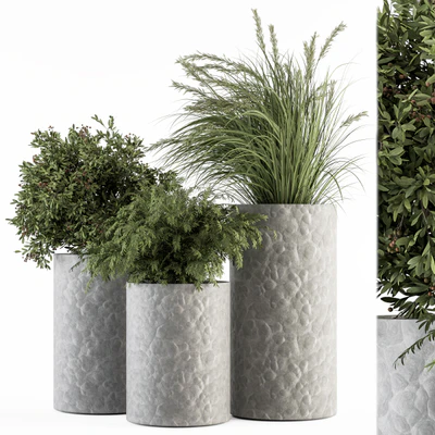 Outdoor Plant Set 292 - Plant Set in Concrete Pot — Ver 1