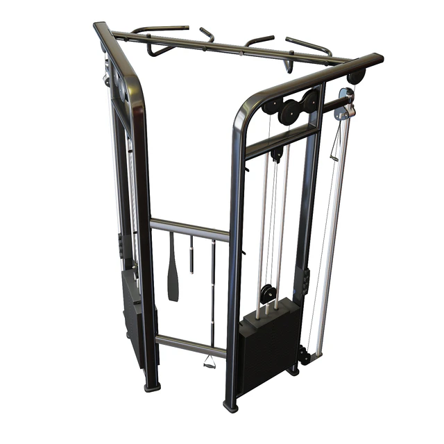 Lifefitness Signature Series Dual Adjustable Pulley — Descargar