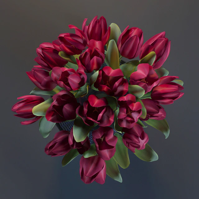 Red Tulips — Descargar