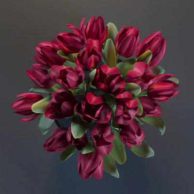 Red Tulips — Ver 2