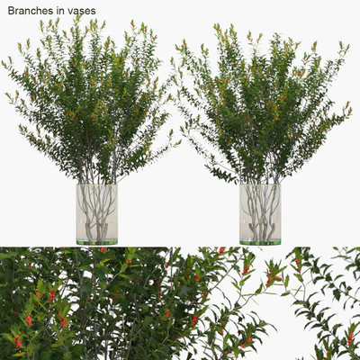 Branches in vases: Dragon Lady — Ver 1