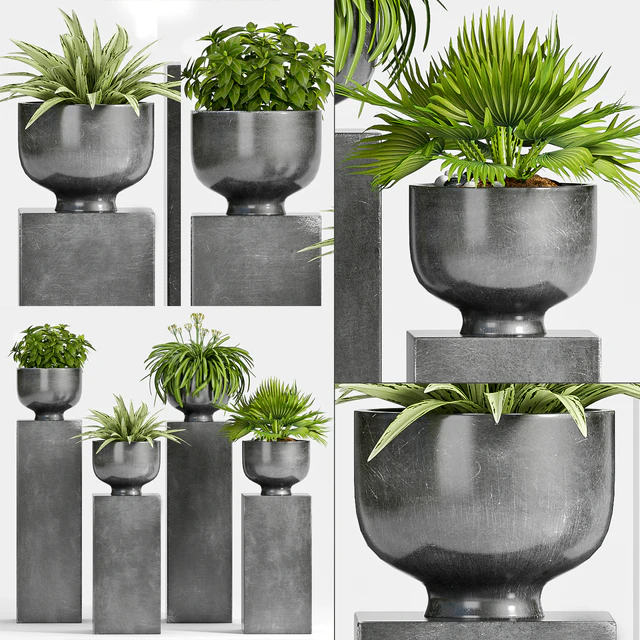 PLANT -54 — Скачать