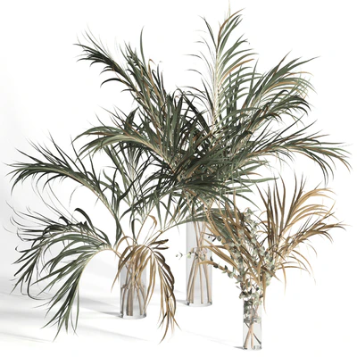 Dry palm leaves in vases — Вид 1
