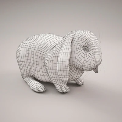 Rabbit — Ver 2
