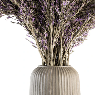 Dry plants 67 - Dried Lavender — Ver 2