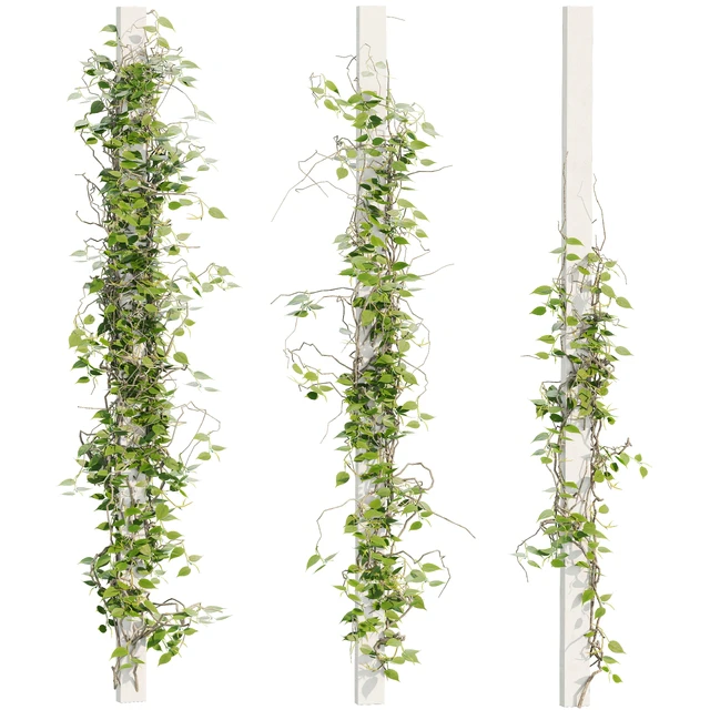 Ivy Plants 16 — Скачать