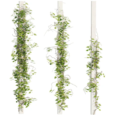 Ivy Plants 16 — Вид 1