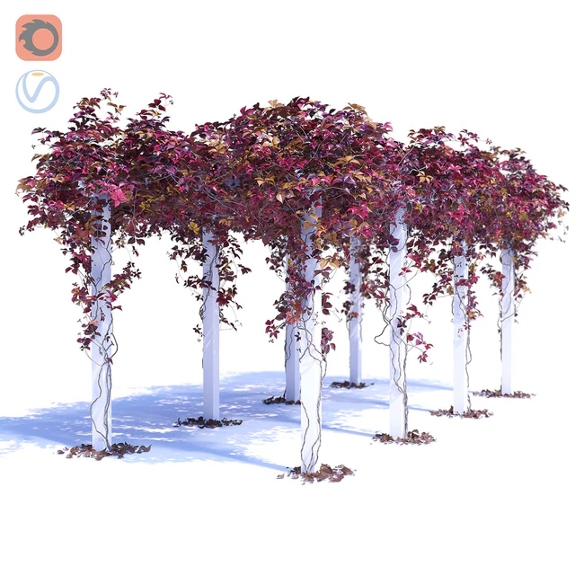 Devinee Grape 3 — Descargar