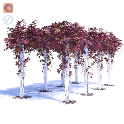 Devinee Grape 3 — Ver 1