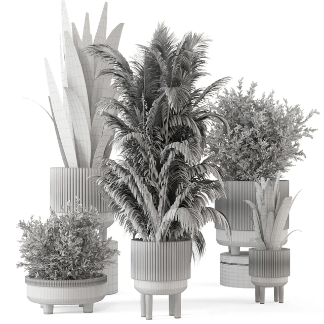 Indoor Plants in Standing Legs Small Bowl Concrete Pot - Set 788 — Descargar
