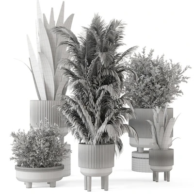 Indoor Plants in Standing Legs Small Bowl Concrete Pot - Set 788 — Ver 2