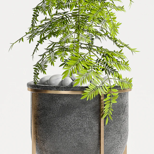 PLANT SET -80 — Descargar