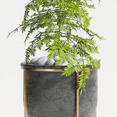 PLANT SET -80 — Ver 2